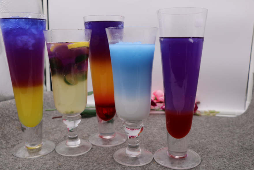福州泰国蝶豆花培训